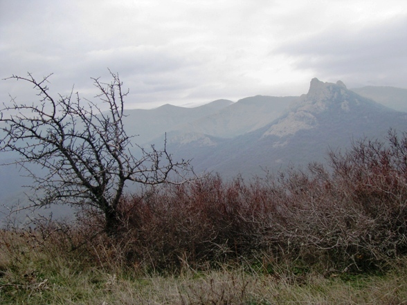 Гора Кошка (Чатал-Кая).
